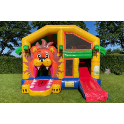 multiplay (Leeuw met dak)