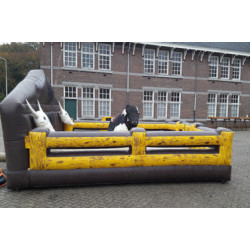 rodeo stier (western)