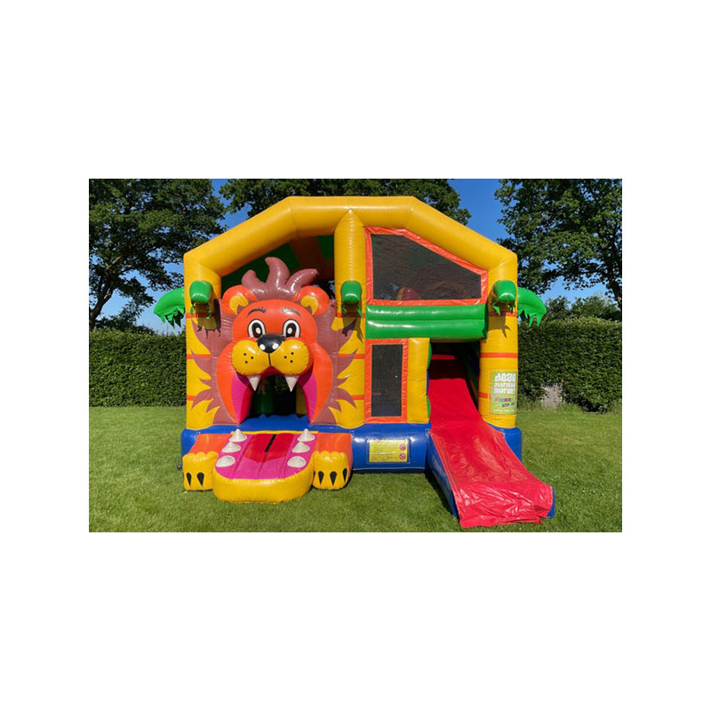 Multiplay (Leeuw met dak)