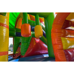 Multiplay (Leeuw met dak)