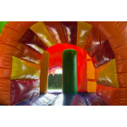 Multiplay (Leeuw met dak)